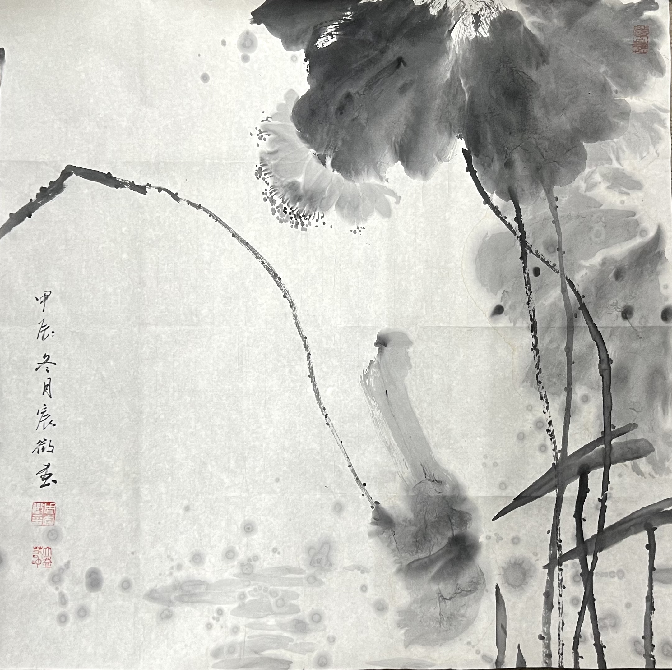 13周宸徽 《墨荷》斗方 68cm x 68cm.jpg
